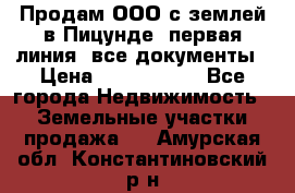 Продам ООО с землей в Пицунде, первая линия, все документы › Цена ­ 9 000 000 - Все города Недвижимость » Земельные участки продажа   . Амурская обл.,Константиновский р-н